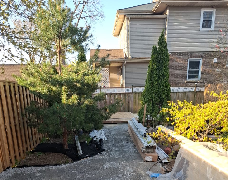 Backyard shed framing stage